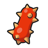 刺角果