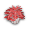 剑舞菇
