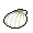 南国贝壳