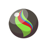 基格尔德进化石