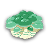 影分菇
