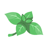 急躁薄荷