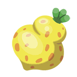 文柚果