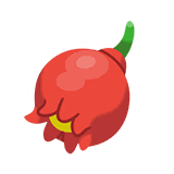 榴石果