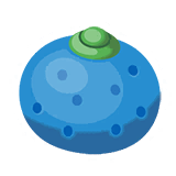 橙橙果
