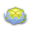 活力蕾