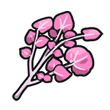 秘传:甜味料