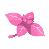 自大薄荷