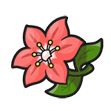葛拉西蒂亚花