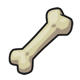 贵重骨头