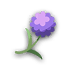 除虫草