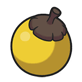 黄球果