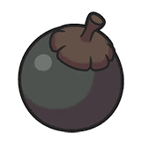 黑球果