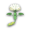 PP草